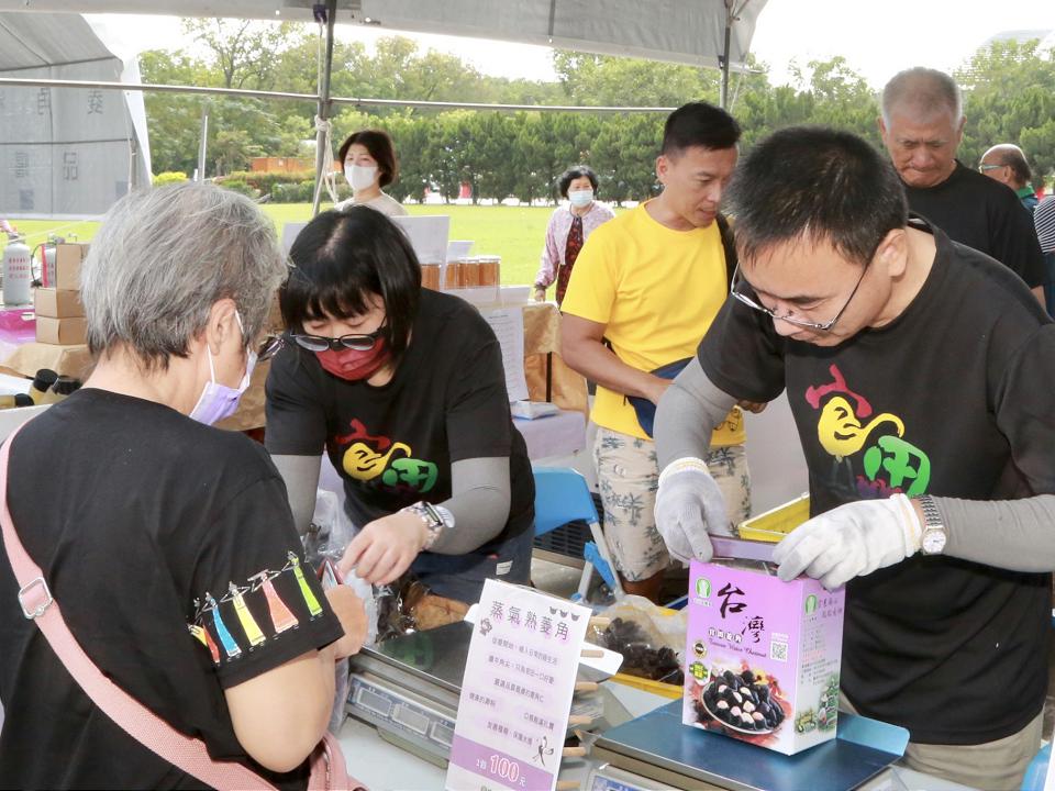 台南官田菱角季當場　秋季嚐鮮在地好滋味