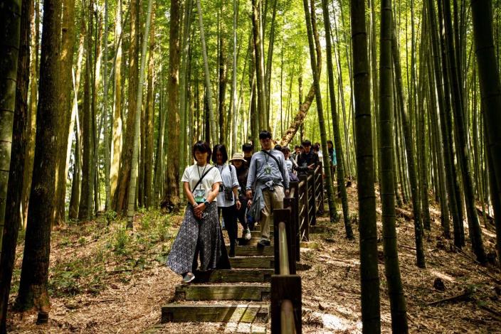 2023草嶺石壁森林療癒祭受矚目　草嶺觀光人次創新高