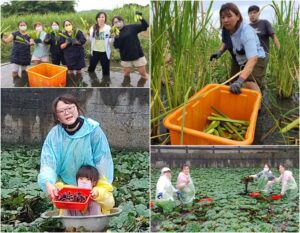 從田間到餐桌　聖母專校幼保食農教育　發現在地好味道