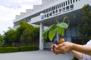 科博館車籠埔斷層保存園區與婦女協會合作種植臺灣原生種