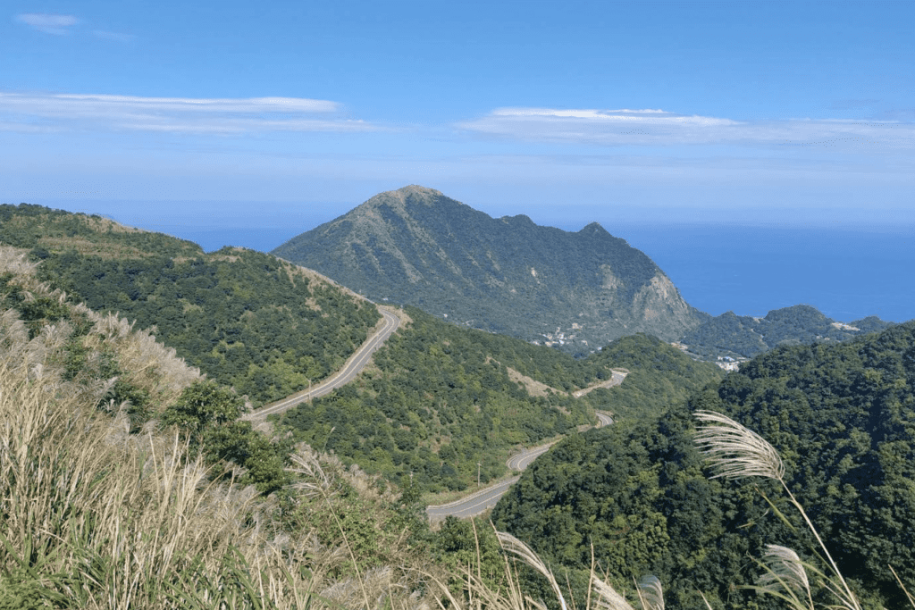 九份山城盛開銀白芒花     絕美秋日景點揭曉