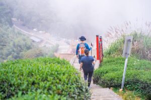 嘉義縣茶園步道與「柴語錄」打卡抽獎只到12月3日　請把握最後機會