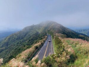 新北賞秋芒迎風翻飛　九份山城季節限定