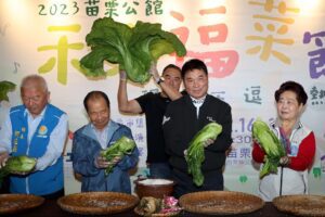 苗栗公館禾樂福菜節登場　 紮稈重現傳統農事技藝