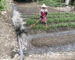 畜牧肥水再利用還於田　降低河川負荷綠循環