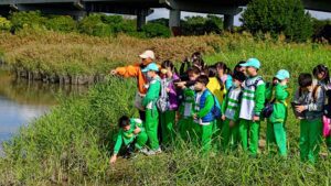 探索五股濕樂園     環保局濕地故事館與蘆洲成功國小攜手培養環境愛好者