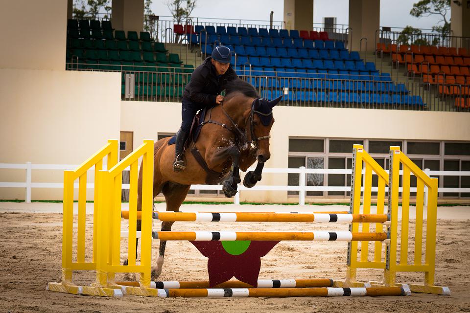 台中后里馬場重現風華　馬術障礙超越賽今明登場