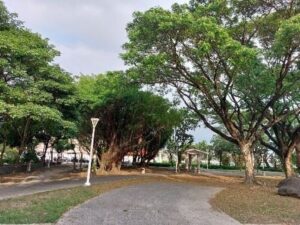 在竹林公園　　穿越時空邂逅百年文化資產