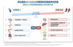 信達生物宣佈瑪仕度肽 (IBI362) 高劑量9 mg中國肥胖III期臨床研究GLORY-2完成首例受試者給藥