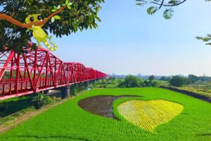 影音／河川局第四分署及溪州鄉活絡地方休閒產業　西螺大橋北岸舉辦彩色稻田插秧