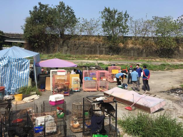 大規模不當飼養犬貓事件曝光　雲林縣政府突襲稽查嚴格執法