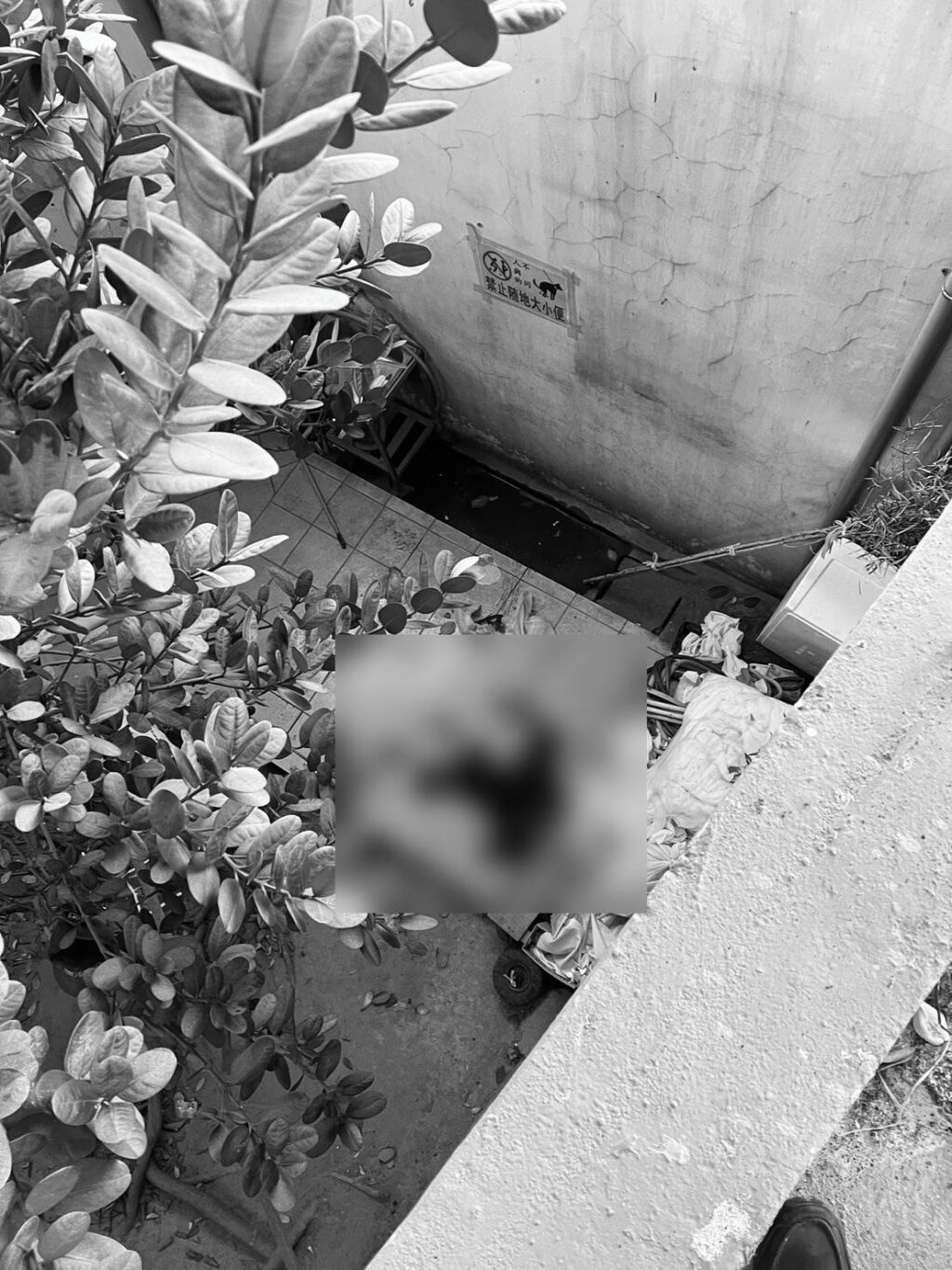 天外飛來一筆橫禍　殯儀館工作踩空掉落地面死亡