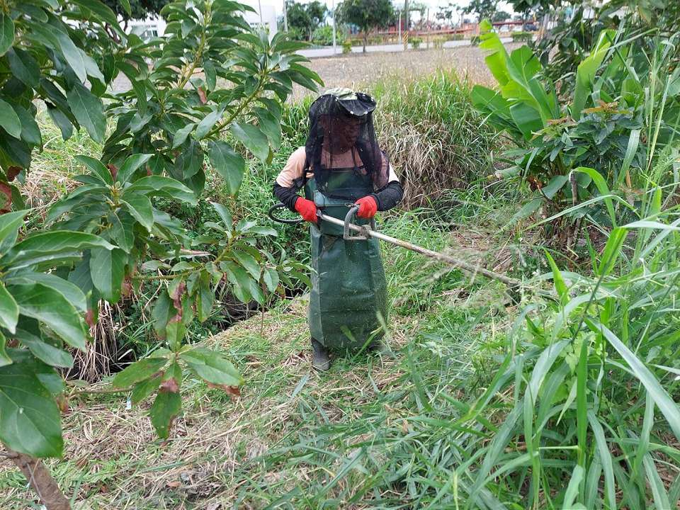 非農業用地禁除草劑　無毒環境共同守護