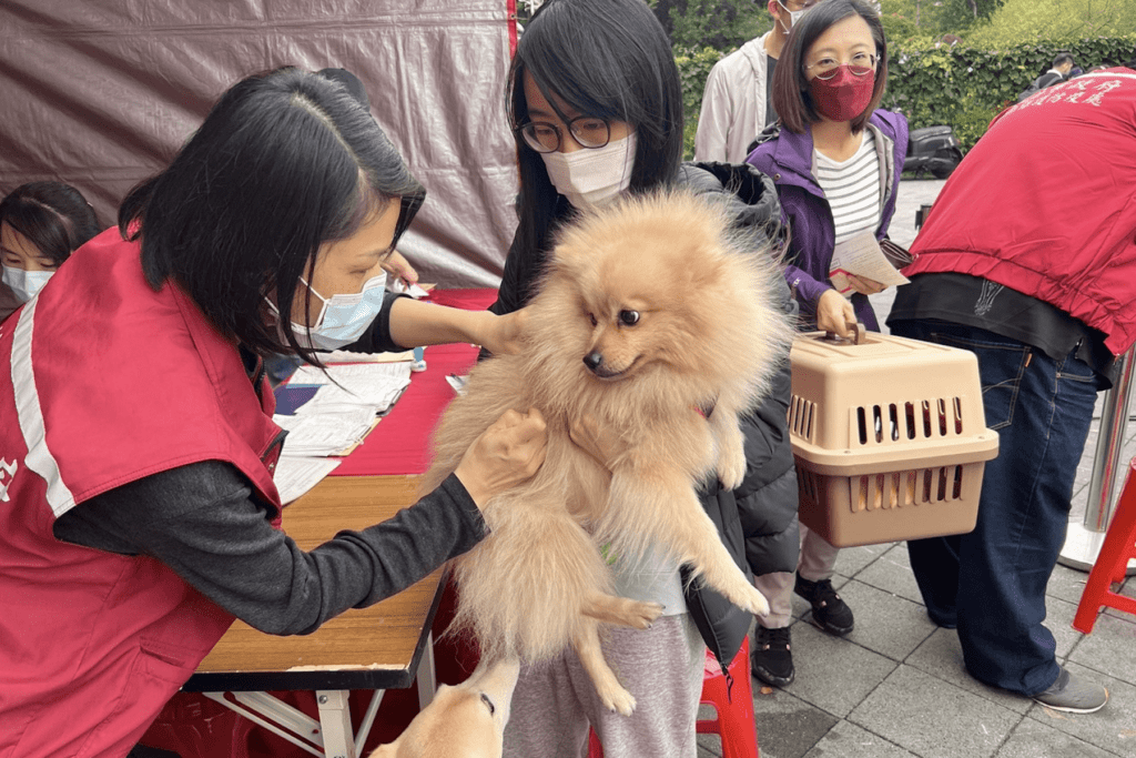 新莊流浪犬身上有晶片查出飼主在花蓮     未領回被罰11萬元