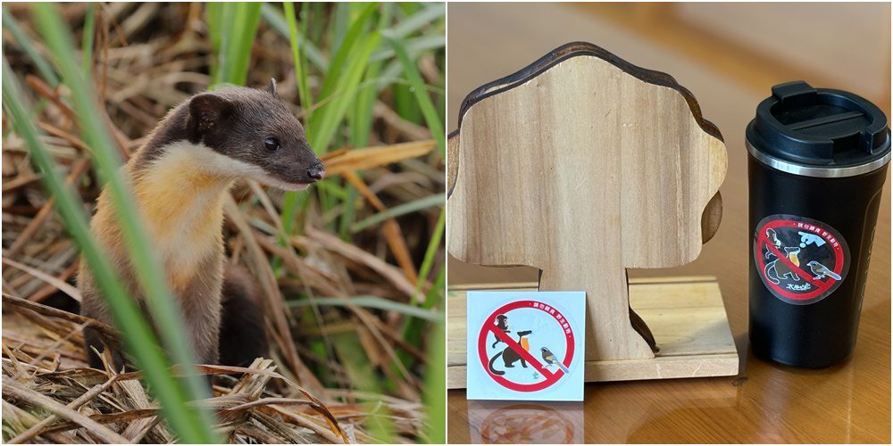 不要再餵啦！　強化宣導切勿餵食野生動物　靜電貼限量送