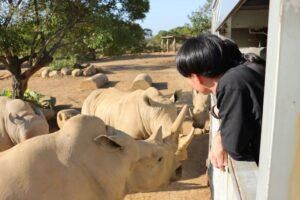 關西六福莊超夯主題房 與動物明星狂歡慶端午 全台唯一結合探索非洲及動物體驗生態度假