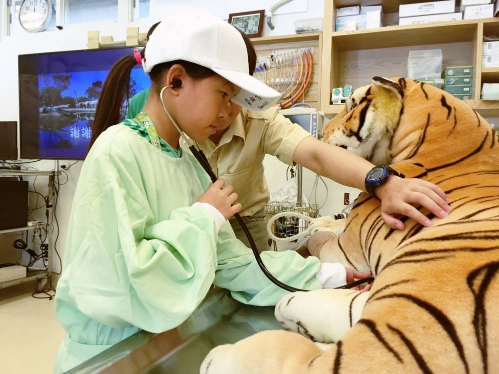 暑期生態營隊限額釋出  關西六福莊小小獸醫實習營全台唯一限額釋出