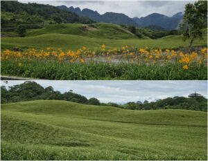 後山小調/六十石山遭強震震損山路將竣工　金針花季蓄勢待發