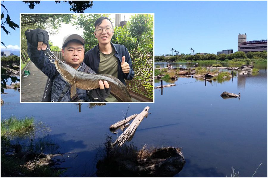 確保原生魚類生存環境　6/26邀您來釣外來魚