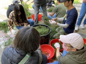 推展精油產業   林保署開辦雙連埤香氛體驗集訓