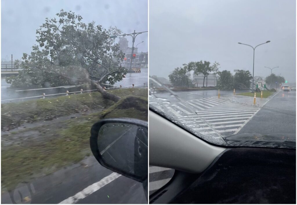 凱米狂襲！宜蘭多處路樹傾倒 部分地區停電