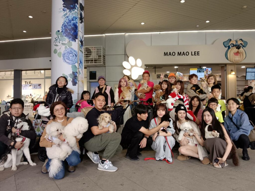 漢神巨蛋變身毛孩樂園　李毛毛萌力運動會歡度聖誕