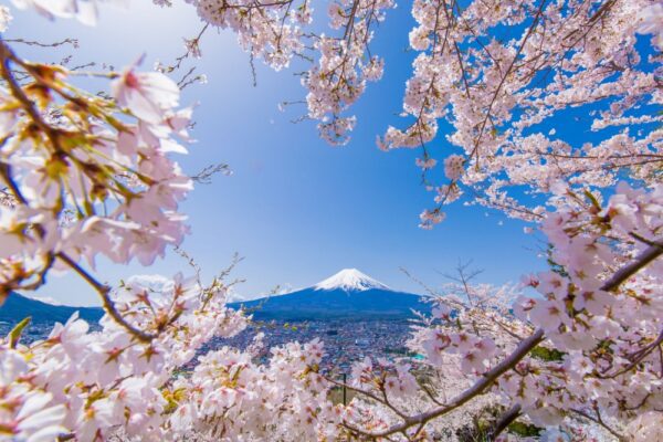 年底出國不用換那麼多現金 ! 環球VISA金融卡直接外幣扣款、還能享6.6%回饋