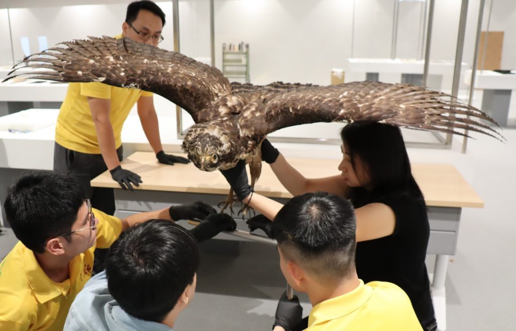 臺中綠美圖 12/13 開館 市圖推世界的索引開幕大展