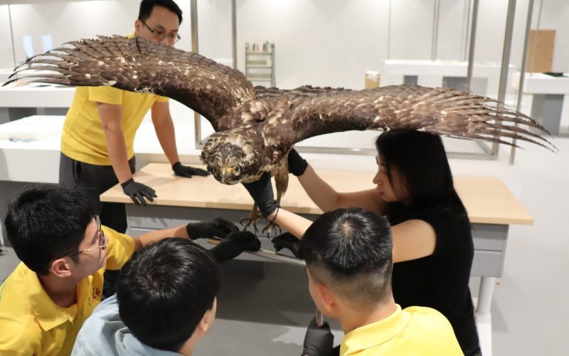 臺中綠美圖 12/13 開館 市圖推世界的索引開幕大展