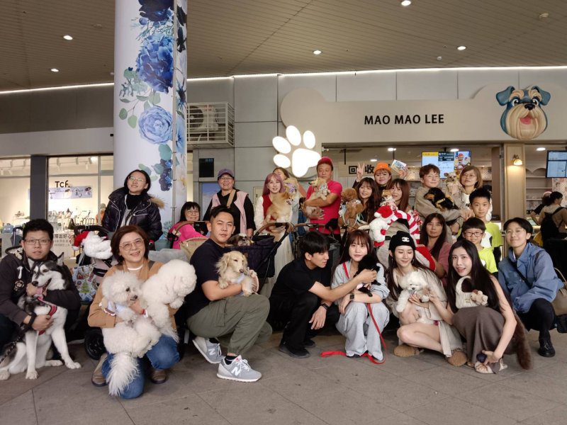 港灣新聞網／漢神巨蛋化身毛孩樂園　「李毛毛萌力運動會」陪毛孩家庭歡度聖誕