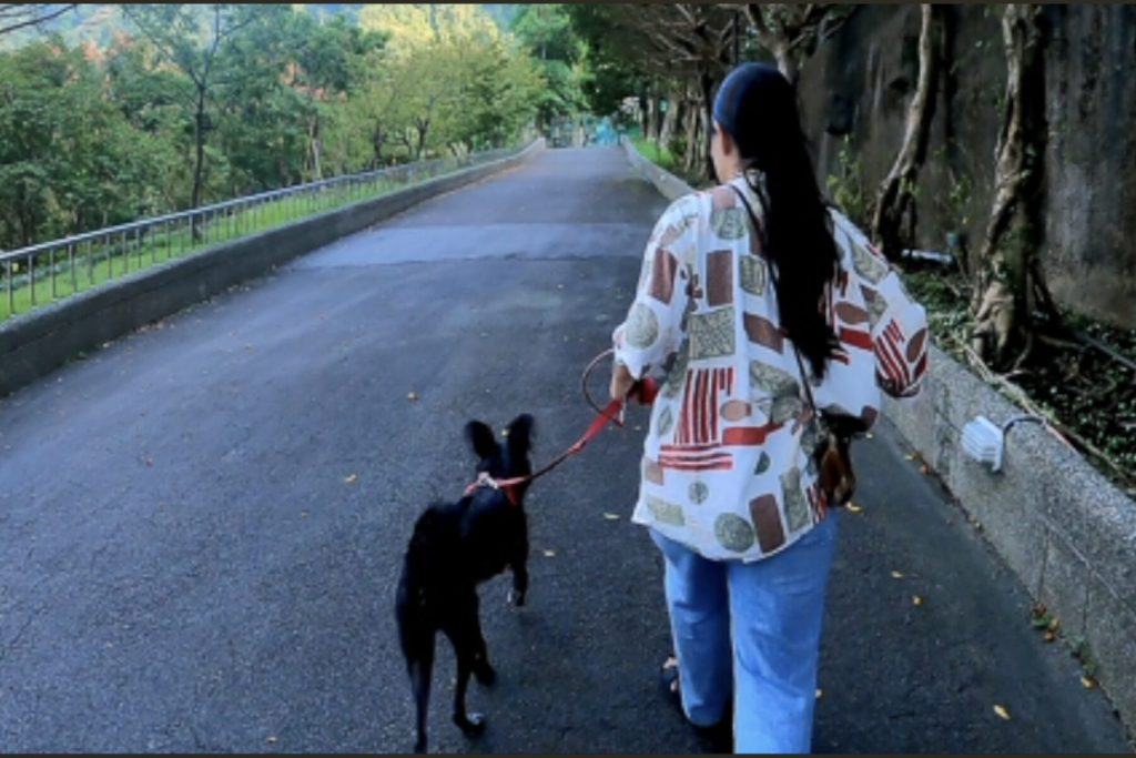 新北動保處推「認養後訓犬課」！專業訓練師到家服務     新手飼主不煩惱