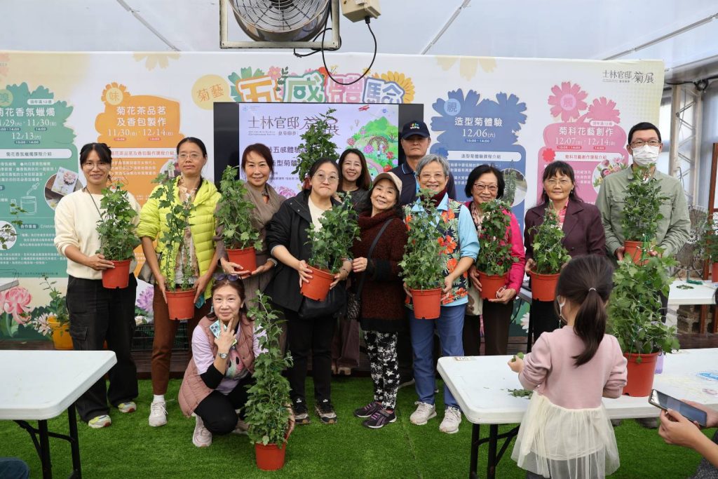 士林官邸菊展倒數　45萬人次參觀　展後200盆花12/17免費認養