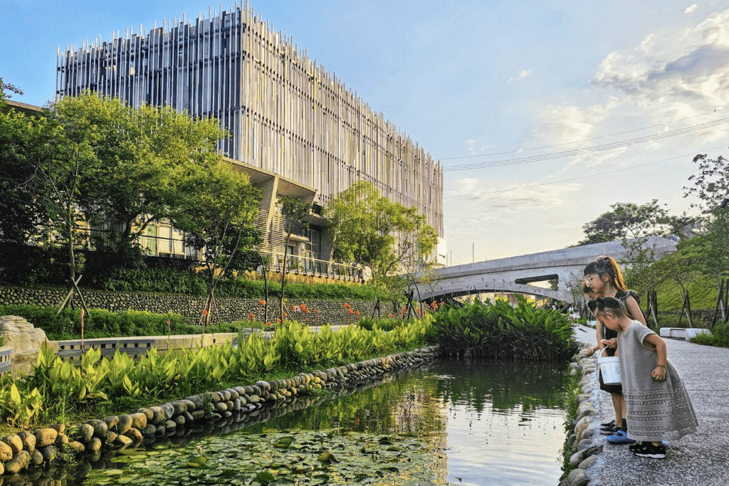 變身藝術水景！鶯歌礫間淨化水導入新北美術館景觀水道     清水中魚鴨悠游、生意盎然