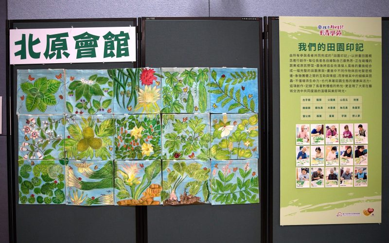 把日常畫成風景  原住民長者用畫筆把生活拼回來