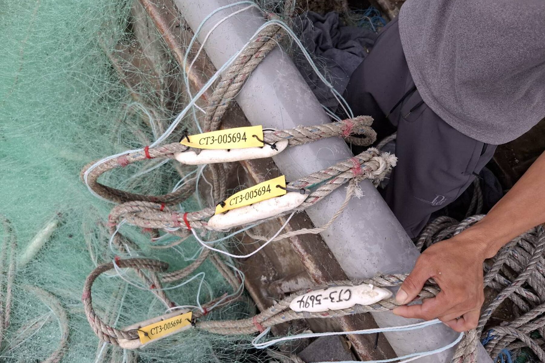 貢寮 1/1 起 3 海浬內全面禁刺網     新北漁業處：違者最高罰 15 萬