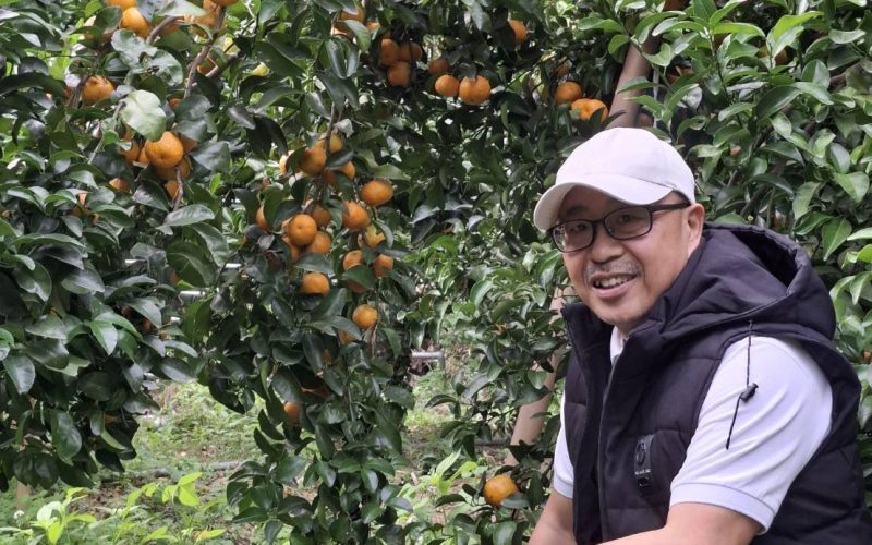 工程師侍雙親學種砂糖橘   兼具園藝治療與食農教育