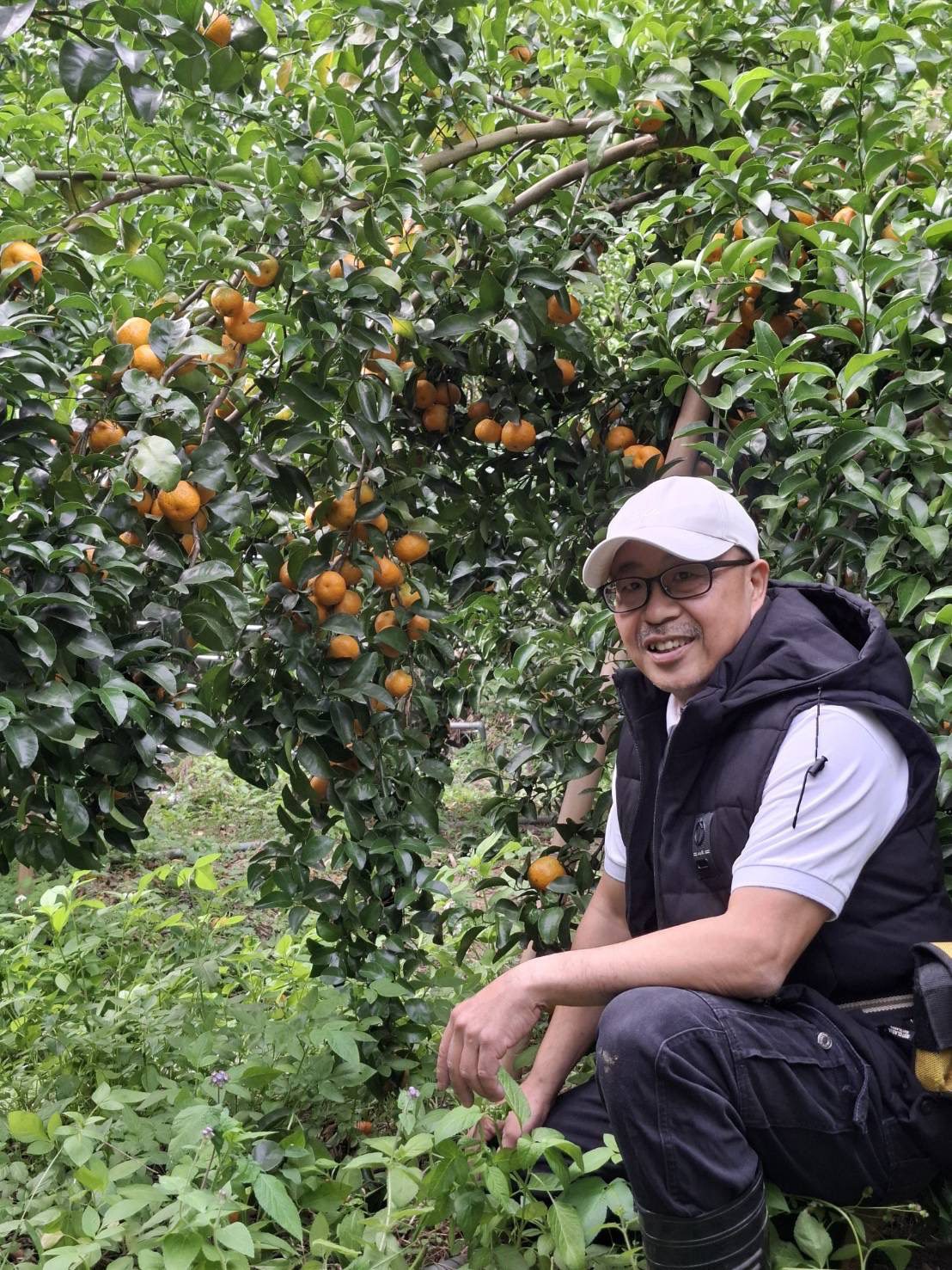 工程師侍雙親學種砂糖橘   兼具園藝治療與食農教育
