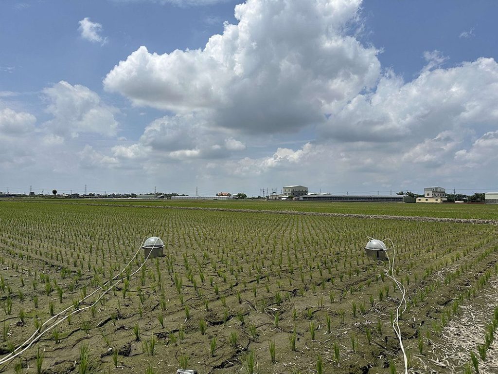 雲林縣攜手青農與企業推動低碳稻作計畫　打造永續農業新典範