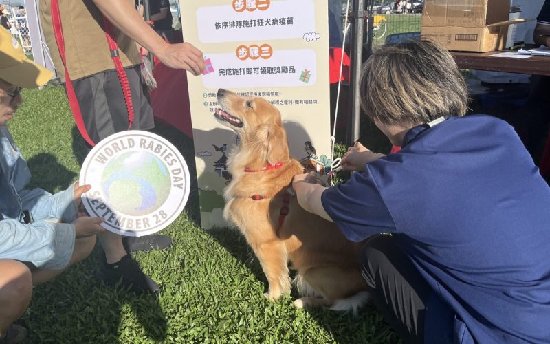 臺北市動物保護3年有成　動物友善服務再升級