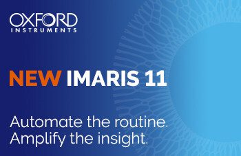 Imaris 11：以清晰、可批次化的工作流程革新影像分析