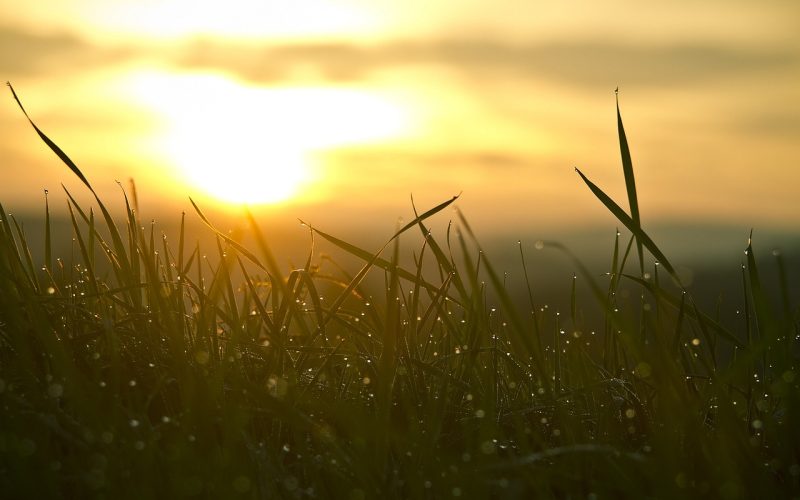 迎接2026！元旦曙光地圖大公開 第一道在「這裡」