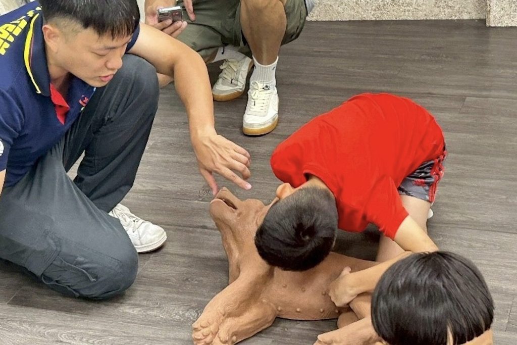 新北 2026 寵物 CPR 課程開跑！20 場免費訓練     為毛孩守護生命線