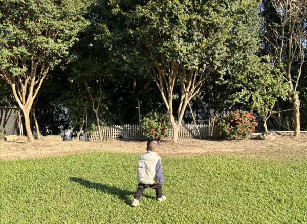 露營成親子秋季首選　專家揭露「孩子最自然的學習場域」四大成長優勢