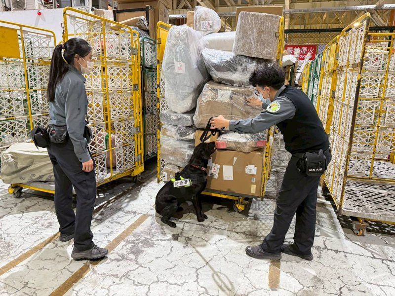 港灣新聞網 /  阻絕非洲豬瘟入境！高雄關聯手防檢署強化海運快遞查核