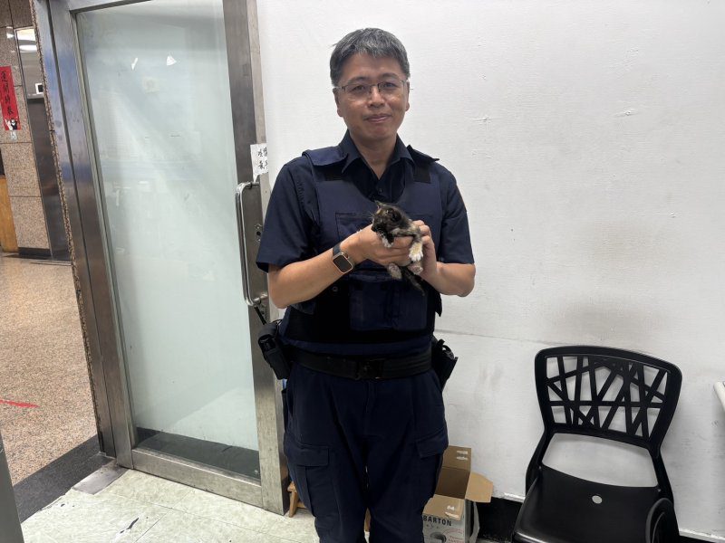 港灣新聞網 /  車輛引擎室驚傳喵鳴　新興暖警即刻救援成功救出新生幼貓