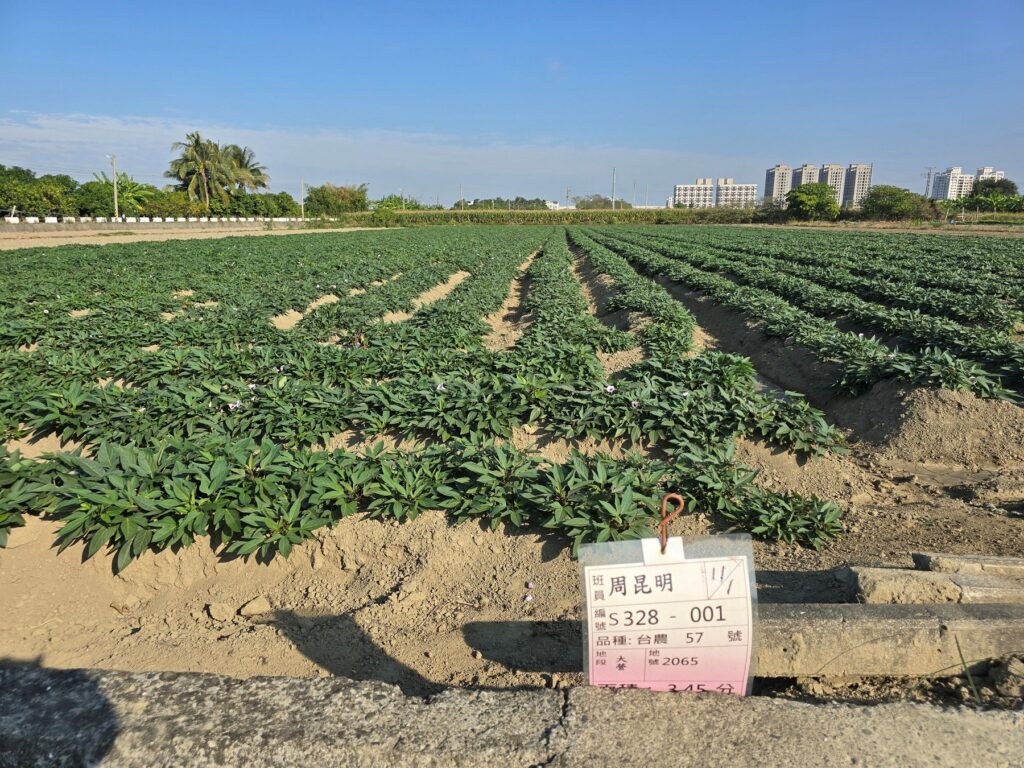 115年休耕轉作申報已經開始　籲請農友如期申報