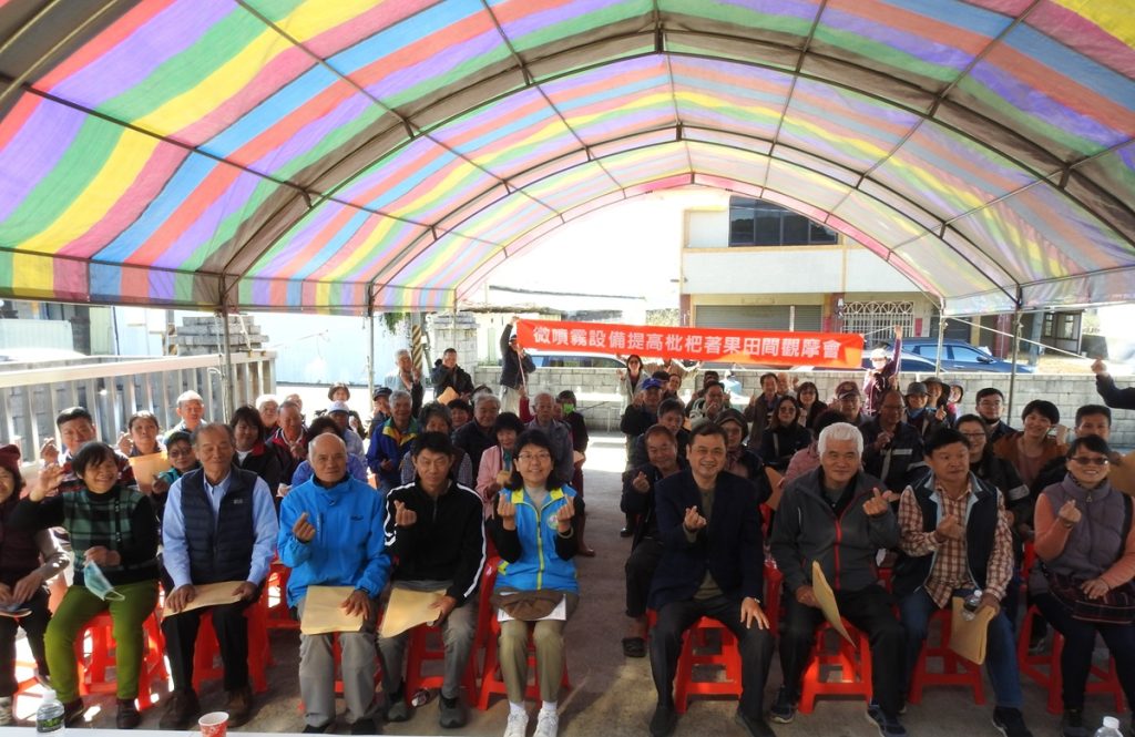 中區農改場微噴霧降溫穩定開花期園區微氣候  枇杷開花結果好收成
