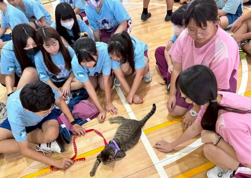 屏縣府推動保生命教育　讓陪伴犬貓走入校園