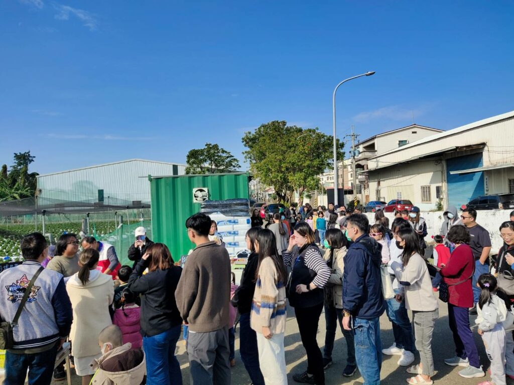 歸仁河堤草莓園首開張 人潮湧現