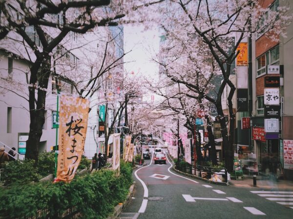 跟著政策大錢走！00949一次打包日本最強國家隊